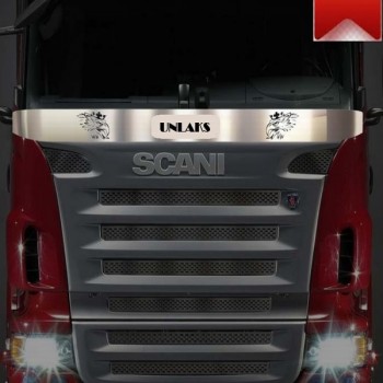 SCANIA 420 Ön Cam Sineklik